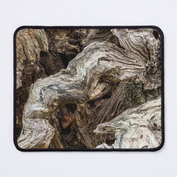 Item preview, Contorted oak oak tree bark designed and sold by ccullen222.