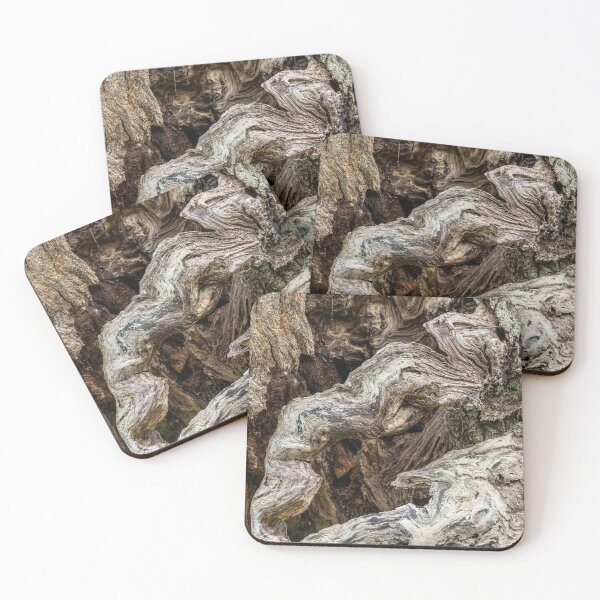 Item preview, Contorted oak oak tree bark designed and sold by ccullen222.
