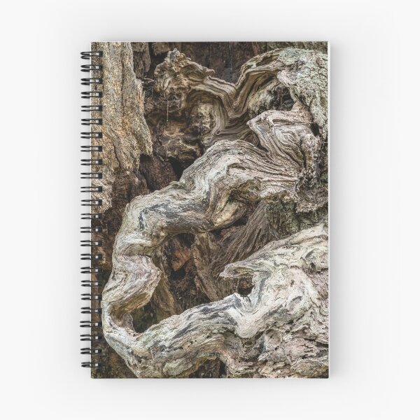 Item preview, Contorted oak oak tree bark designed and sold by ccullen222.