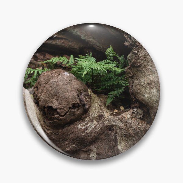 Item preview, Ancient oak trunk designed and sold by ccullen222.