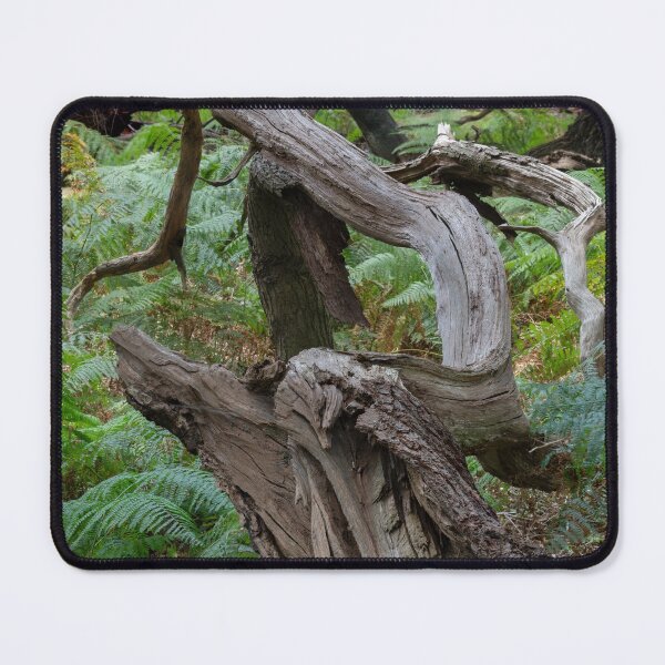 Item preview, Fallen oak branch designed and sold by ccullen222.