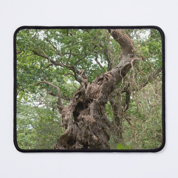 Item preview, Wild Wood designed and sold by ccullen222.