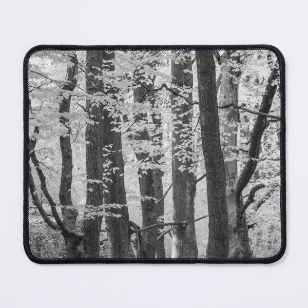 Item preview, Brinscall Beeches designed and sold by ccullen222.