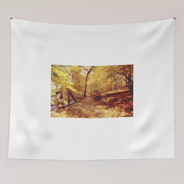Item preview, Path in Autumn, Fairmount Park, Philadelphia designed and sold by AMacGPhilly.