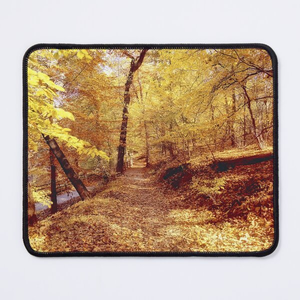 Item preview, Path in Autumn, Fairmount Park, Philadelphia designed and sold by AMacGPhilly.