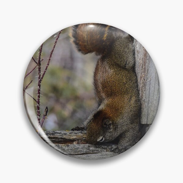Item preview, Red Squirrel. designed and sold by CanadianWild418.