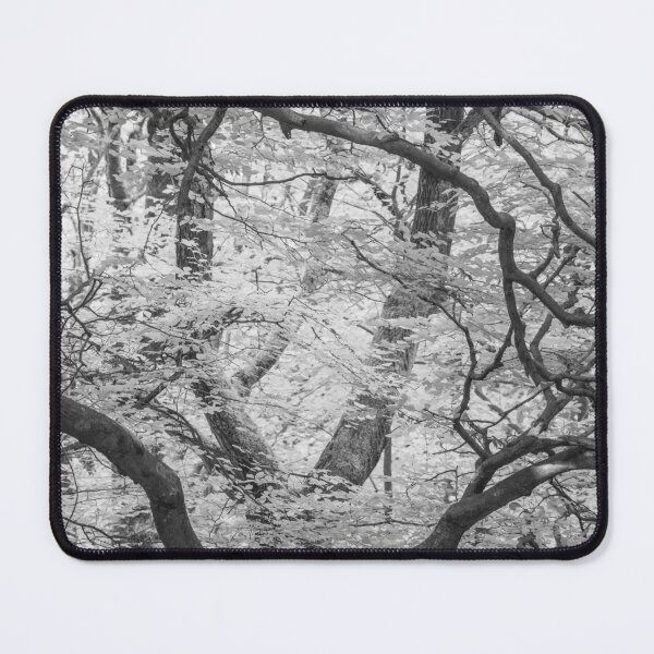 Item preview, Brinscall Beeches #2 designed and sold by ccullen222.