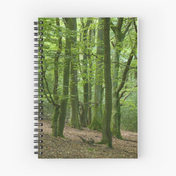 Item preview, Brinscall Beeches #3 designed and sold by ccullen222.