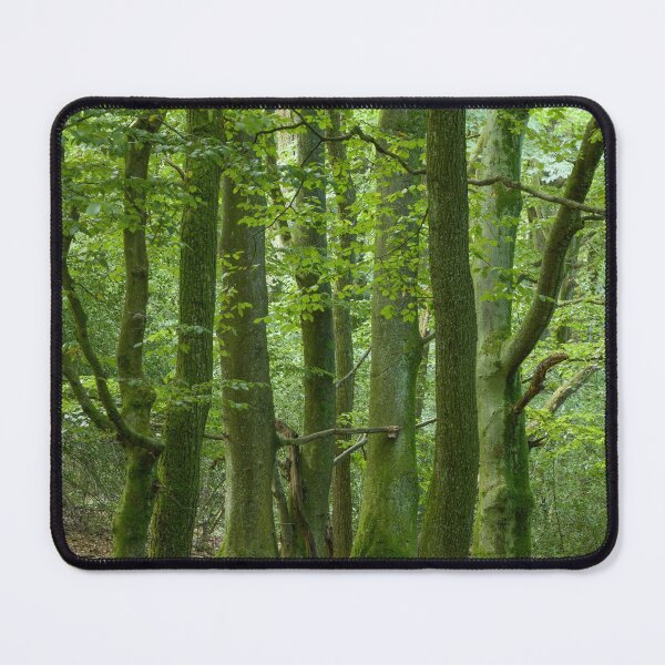 Item preview, Brinscall Beeches #3 designed and sold by ccullen222.