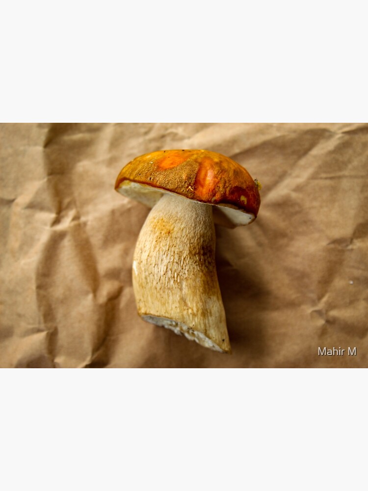 Discover Boletus mushroom on brown paper Premium Matte Vertical Poster