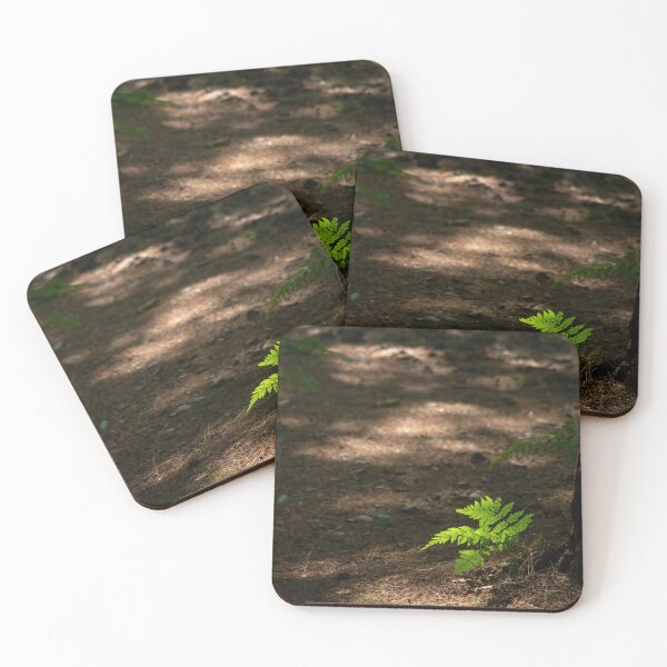 Item preview, Spot lit fern designed and sold by ccullen222.
