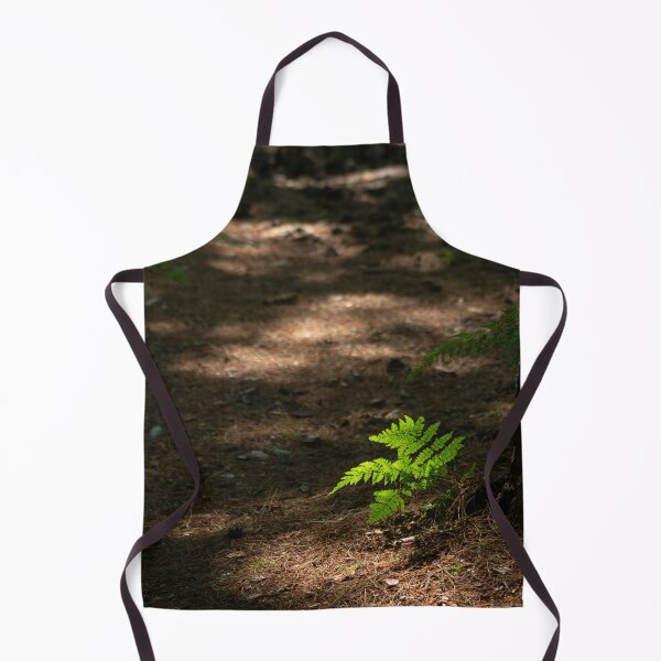 Item preview, Spot lit fern designed and sold by ccullen222.