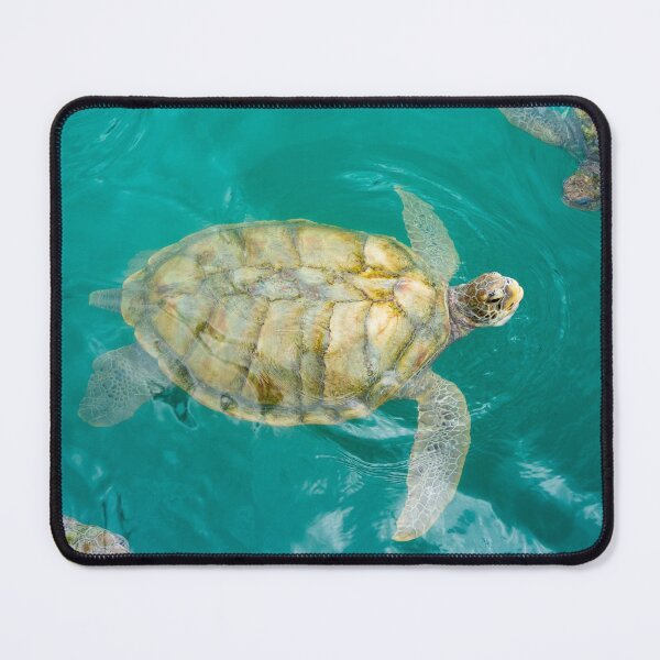 Item preview, Turtle Talk designed and sold by rinphoto.