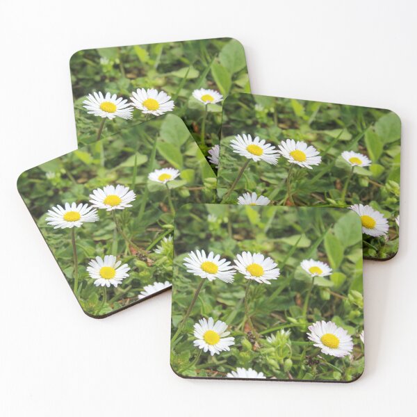 Item preview, Beautiful daisy flowers on the lawn designed and sold by Mahirov Shop.