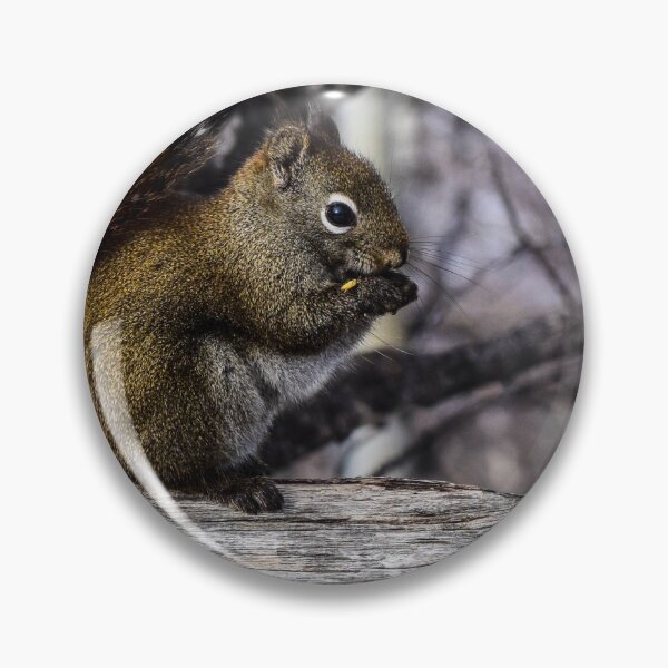 Item preview, Red Squirrel on a Fence. designed and sold by CanadianWild418.