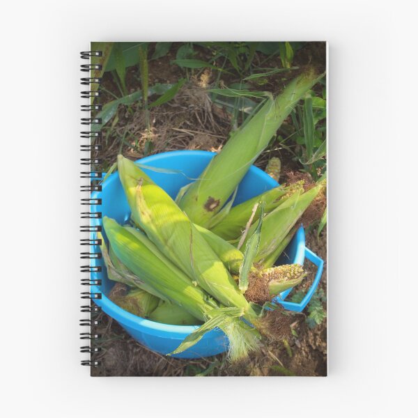 Item preview, Harvested corn designed and sold by Mahirov Shop.