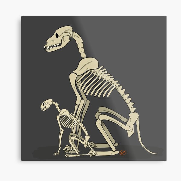 sitting dog  Dog skeleton, Skeleton drawings, Dog skull