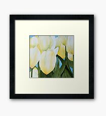 Yellow Tulips Framed Print