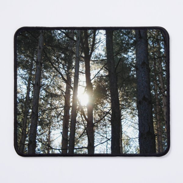 Item preview, Sunshine through branches and trees in a coniferous forest designed and sold by Mahirov Shop.