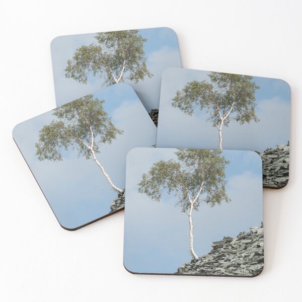 Item preview, Lone birch tree somehow growing on a slate spoil heap designed and sold by ccullen222.
