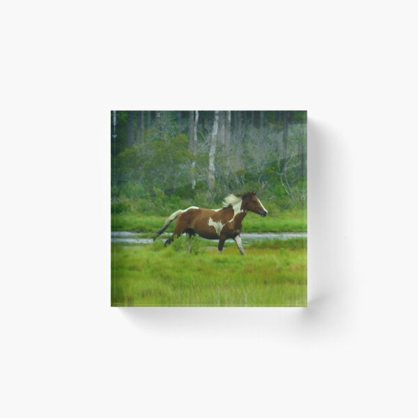 Item preview, wild stallion designed and sold by swordwhale.