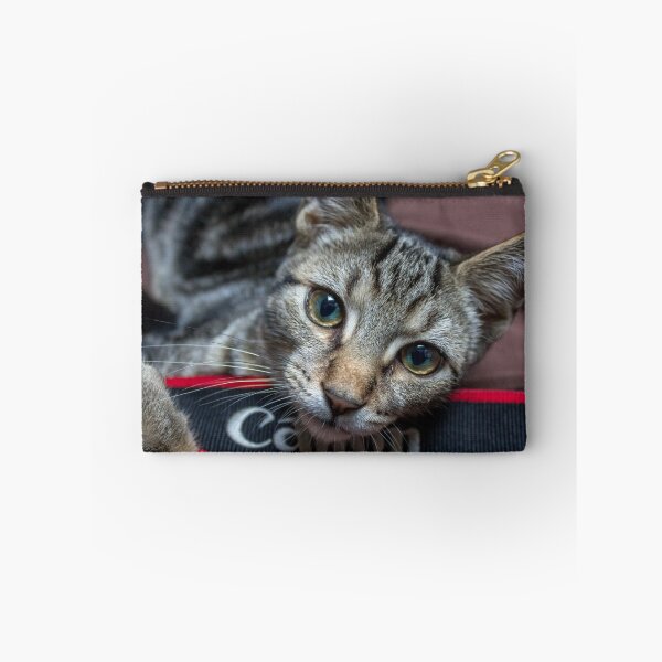 Aperçu de l'œuvre Mon chat Canon créée et vendue par Mikell Herrick.