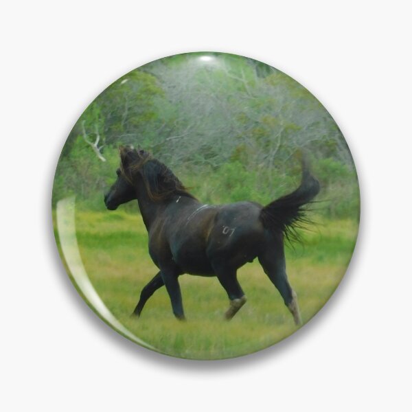 Item preview, wild stallion: Ace designed and sold by swordwhale.