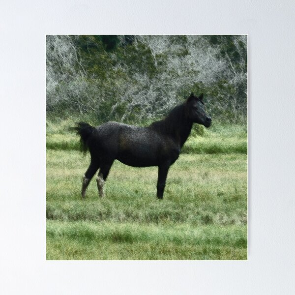 Item preview, vintage effect wild stallion designed and sold by swordwhale.