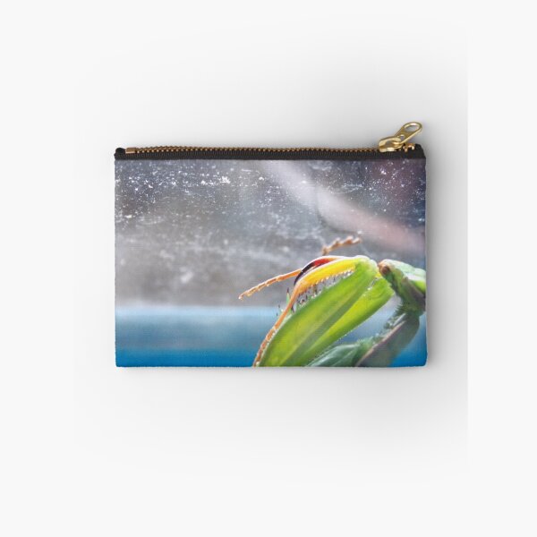 Artikelvorschau, Praying Mantis2 entworfen und verkauft von metrostation.