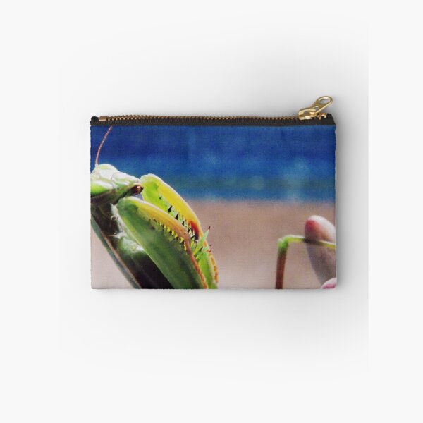 Artikelvorschau, Praying Mantis 3 entworfen und verkauft von metrostation.