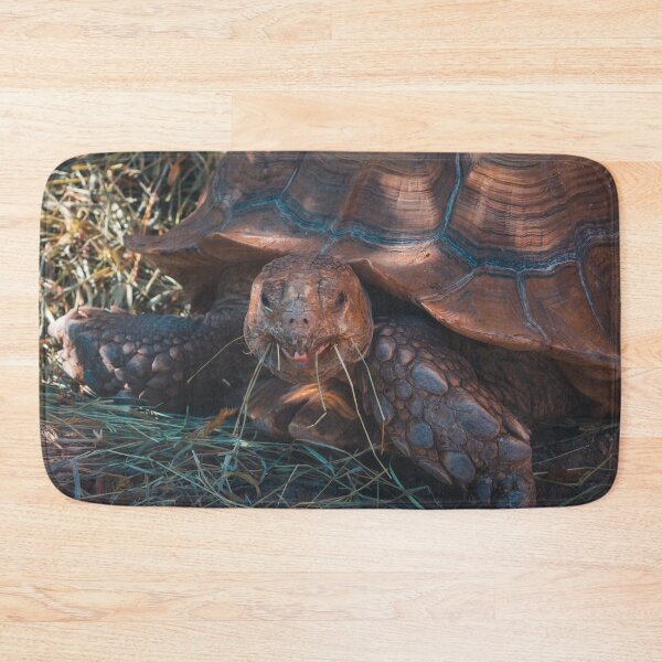 Item preview, Turtle having lunch at the zoo designed and sold by Michael Deemer.