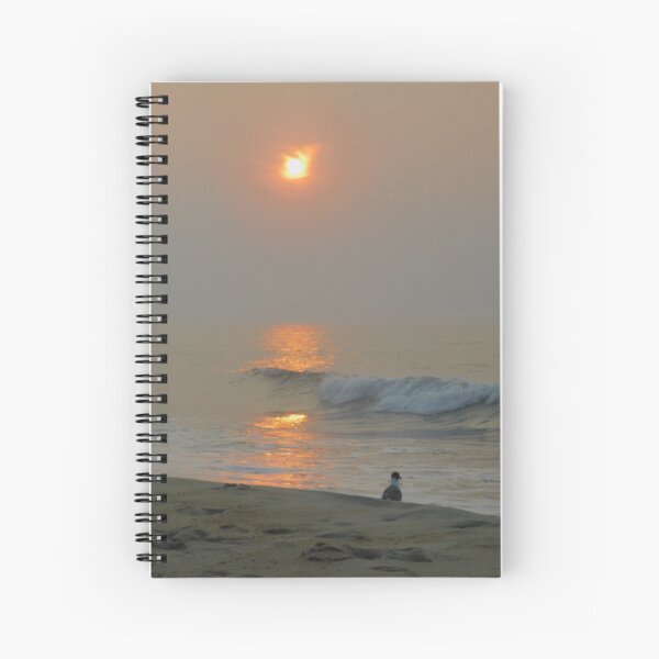 dawn with laughing gull Spiral Notebook