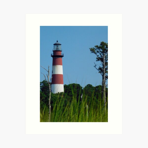 Assateague Light Art Print