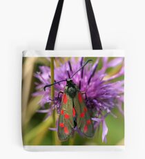 Six Spot Burnet Moth Tote Bag