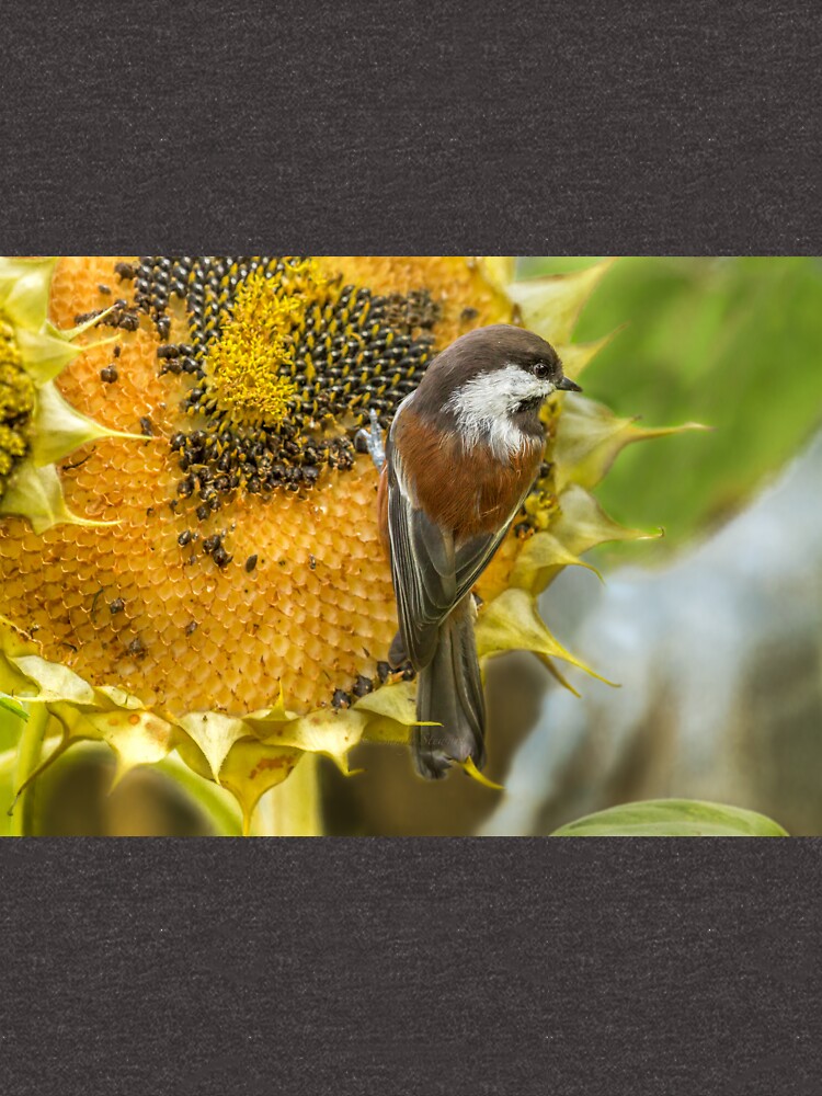 Sunflower Chickadee T Shirt For Sale By Islandlady154 Redbubble Birds T Shirts