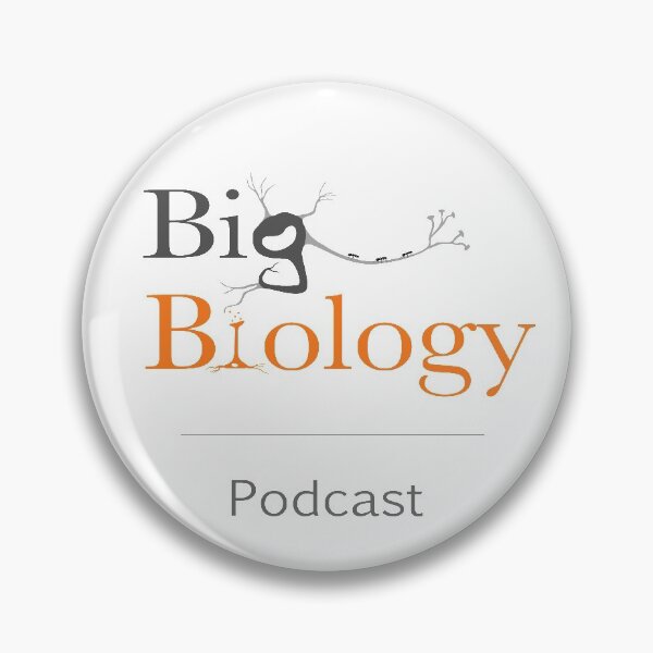 Item preview, Big Biology logo designed and sold by BigBiology.
