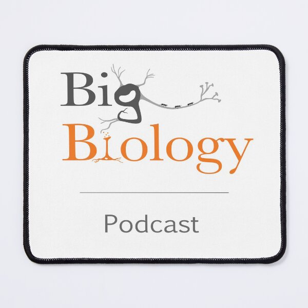 Item preview, Big Biology logo designed and sold by BigBiology.