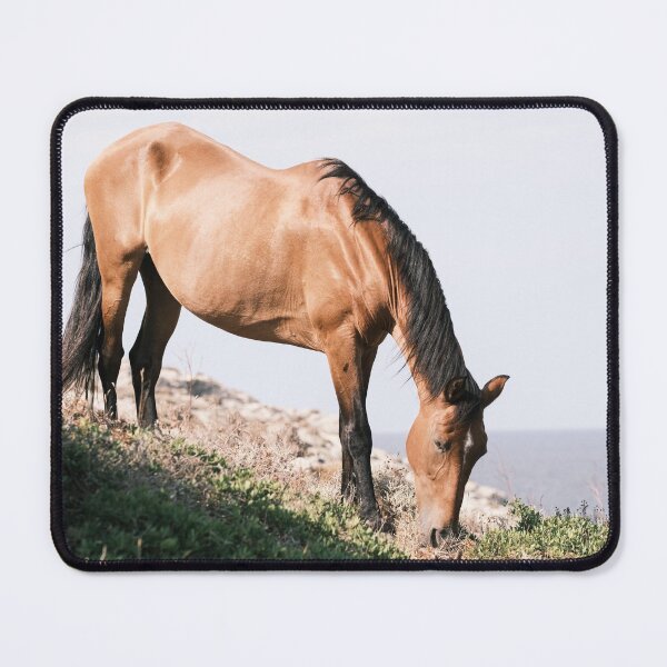 Item preview, Golden Brown Horse grazing with an ocean view designed and sold by mhailittlearts.