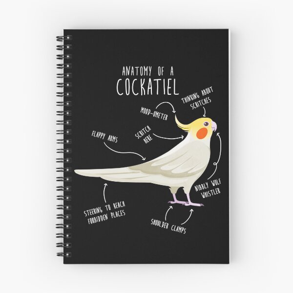 Item preview, Lutino Cockatiel Anatomy designed and sold by Clara Hollins.