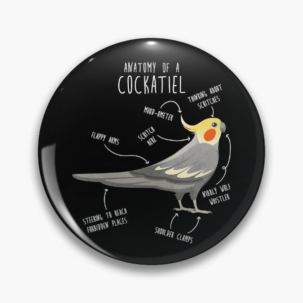 Item preview, Cockatiel Anatomy designed and sold by Clara Hollins.