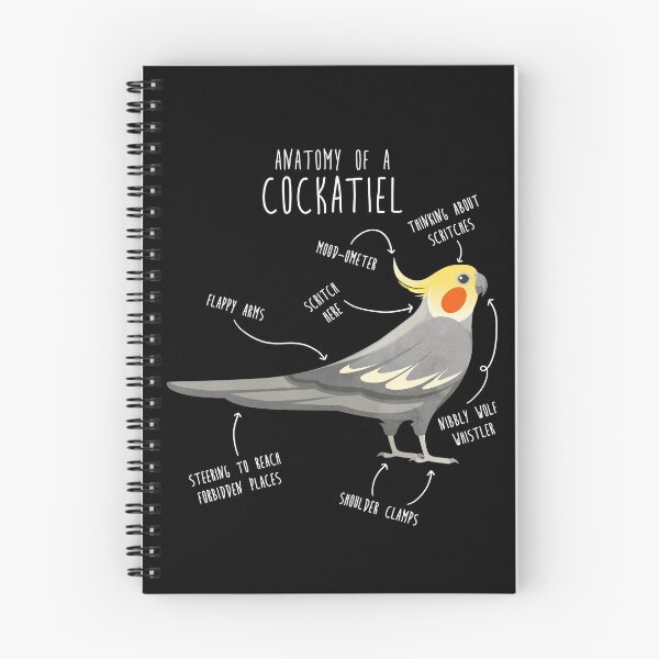 Item preview, Cockatiel Anatomy designed and sold by Clara Hollins.