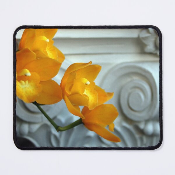 Item preview, Old Yeller designed and sold by Michael May.