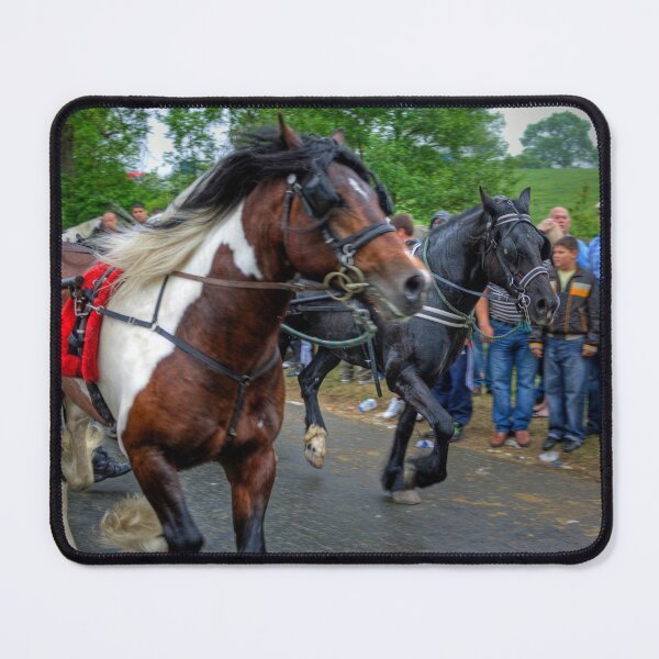 Item preview, Racing along Flashing Lane designed and sold by tomg.