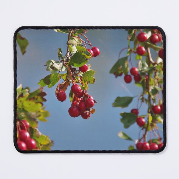 Item preview, Autumn Berries designed and sold by lezvee.