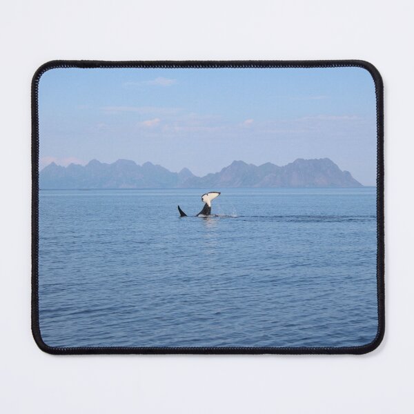 Item preview, Orca in Lofoten, Norway designed and sold by queenavox.