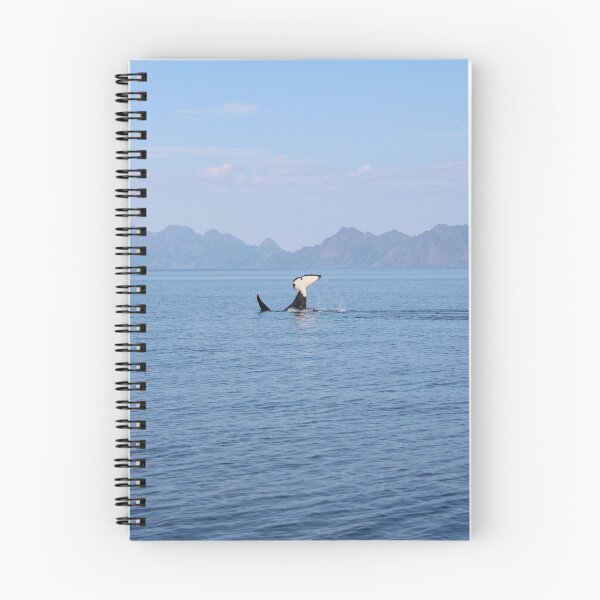 Item preview, Orca in Lofoten, Norway designed and sold by queenavox.