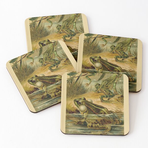 Item preview, Scientific Illustration of Frogs  designed and sold by bookishneighbor.