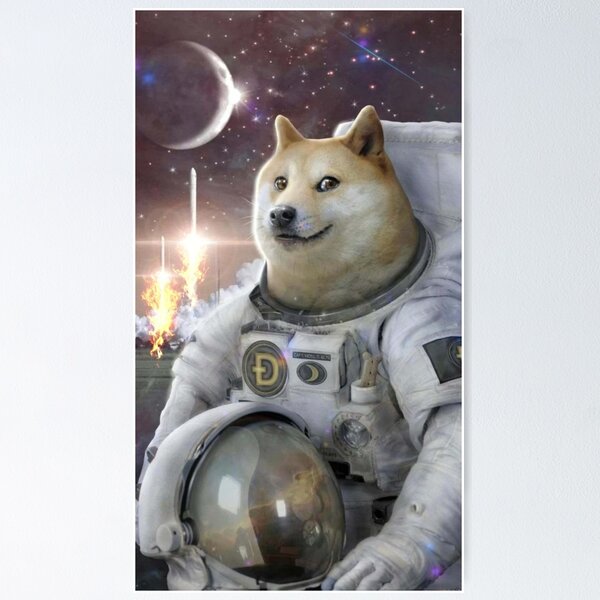 Artikel-Vorschau von AstroDoge, designt und verkauft von Shadowblad.
