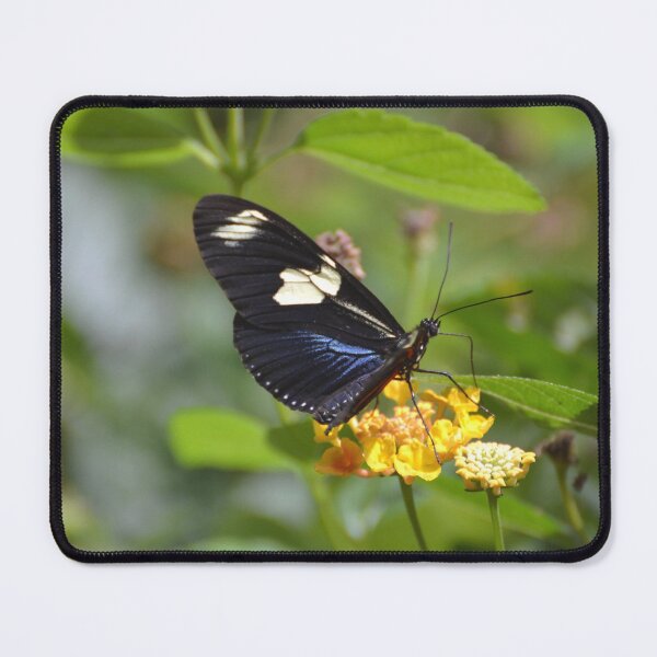 Item preview, Sara Longwing on Yellow Flower designed and sold by Kathleen Brant.