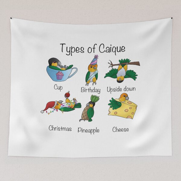 Item preview, Types of Caique designed and sold by ArtyZookeeper.